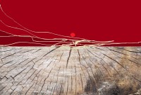 /album/galleria-foto-opere-digitali/santo-lavorato-0912-84-parvenze-di-vita-elaboraz-visiva-al-compiuter-e-stampa-su-tela-cm-80x120-jpg/